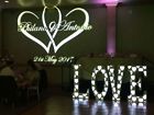 817175010365 Eliminator Decor Love