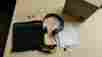 981-000518 Logitech H650e Usb Stereo Headset With Noise-cancelling Microphone