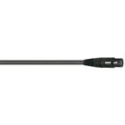 Equinox 7 Wireworld Balanced Audio 878056001766